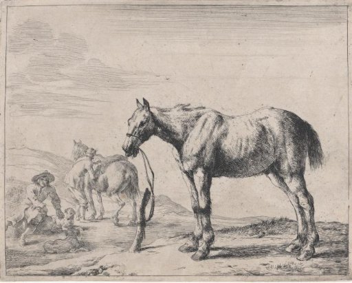 Horse tied to a post facing left