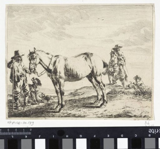 Man holding a horse by the reins