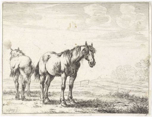 Two horses in a landscape