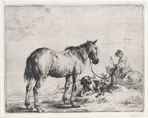 Horse tied to a post