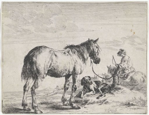 Horse tied to a post