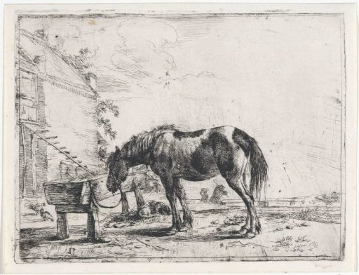 A horse tied to a manger