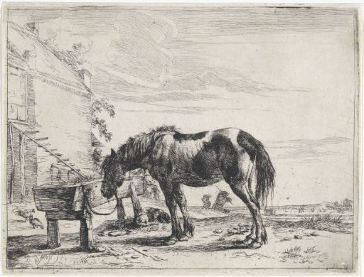 A horse tied to a manger