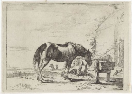 A horse tied to a manger