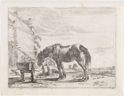 A horse tied to a manger