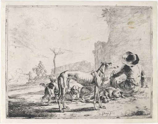 Man with five dogs