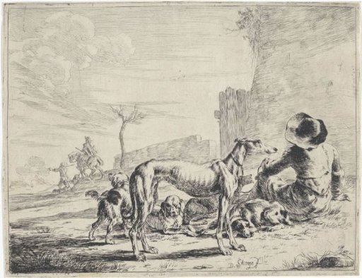 Man with five dogs