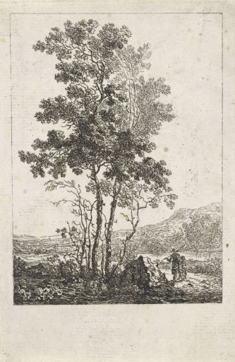 Landscape with Tall Trees