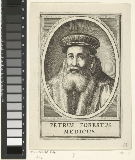 Portrait of Pieter van Foreest