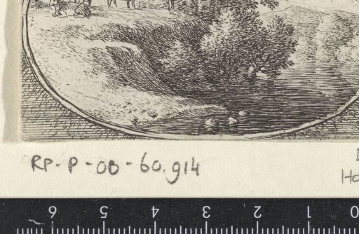 Landscape with a herd of cows