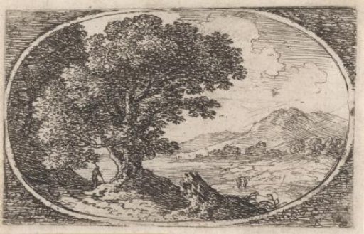 Landscape with a tree stump