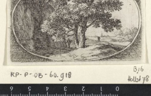 Landscape with a tree with a double trunk
