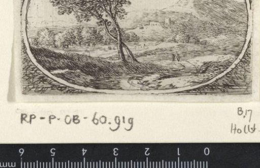 Landscape with two intertwined trees