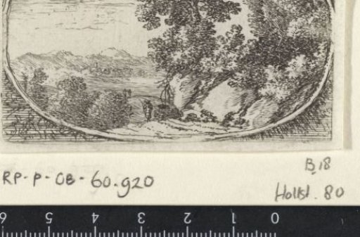 Landscape with overgrown rocks