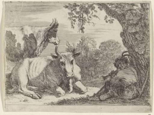 Cows