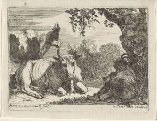 Cows