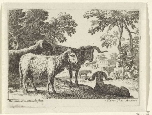 Rams