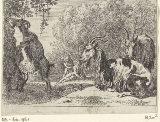 Goats