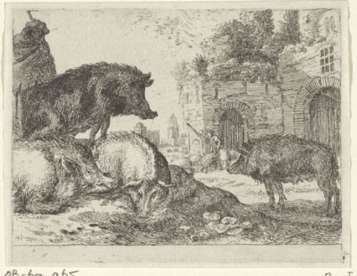 Pigs