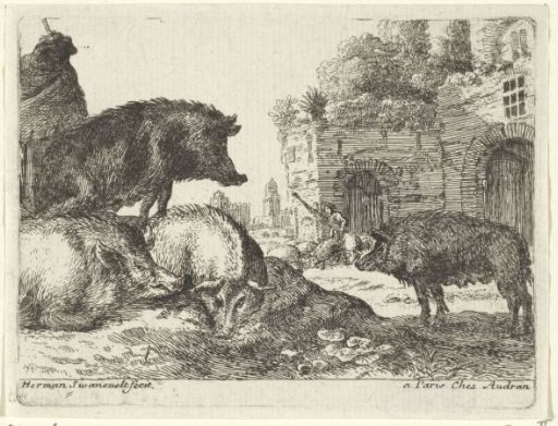 Pigs