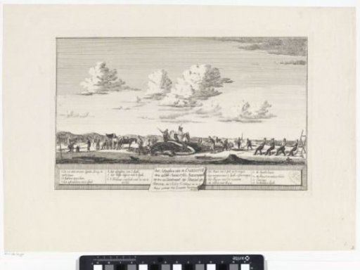 Slaughter of the whale stranded between Zandvoort and Wijk aan Zee, 1762