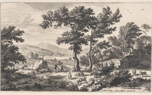 Flock of sheep in an open landscape