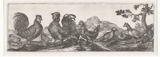 Poultry
