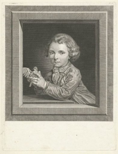 Small birdcatcher