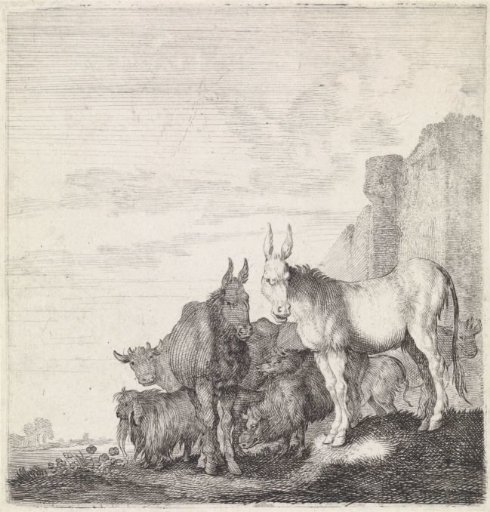 Donkeys by a Wall