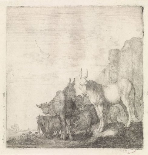 Donkeys by a Wall