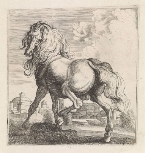 Horse