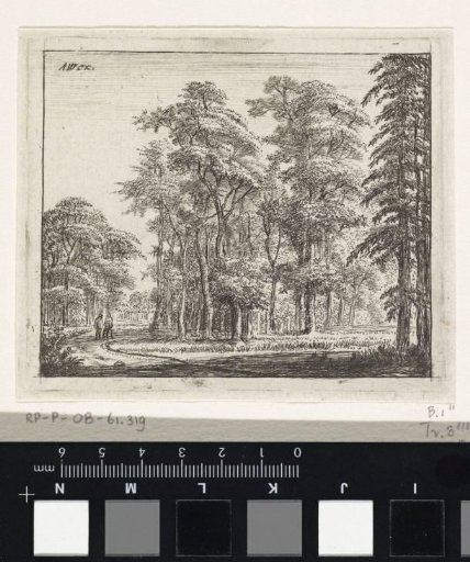 Two Figures on a Winding Path in a Forest