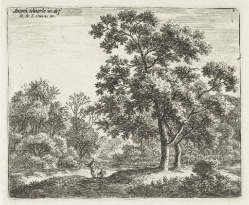 Two Travelers in a Forest