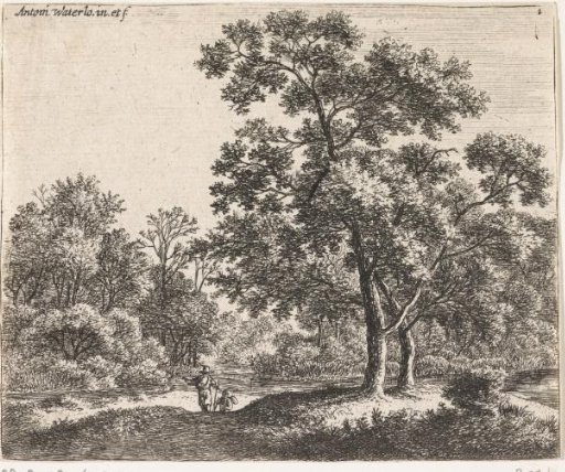 Two Travelers in a Forest