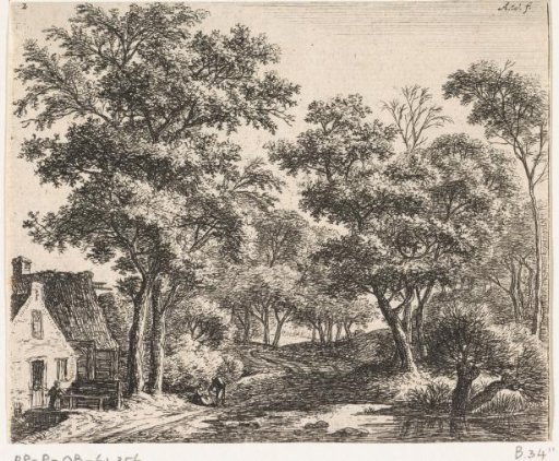 Buildings along a Forest Path
