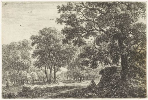 Man with a Dog along a Forest Path