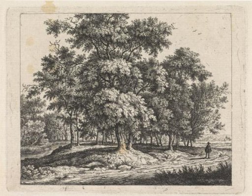 Man with a Dog in a Forest
