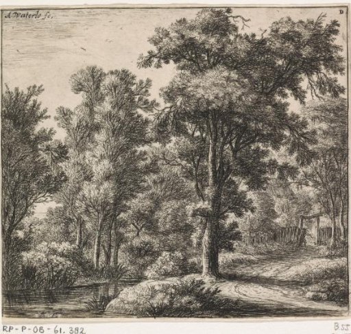 Entrance to the Forest