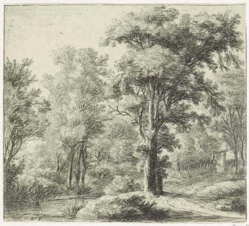Entrance to the Forest