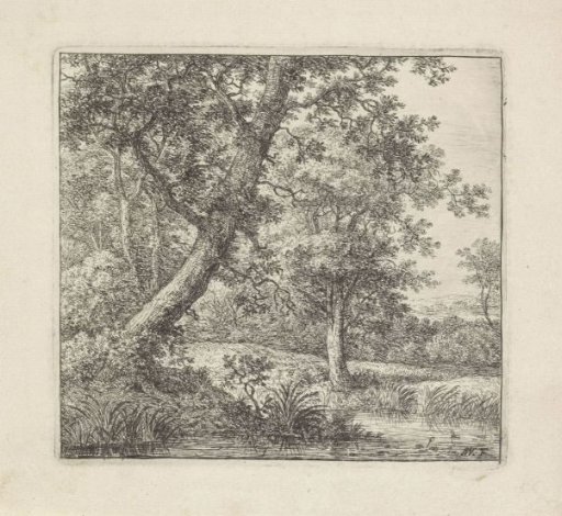 Overhanging Tree