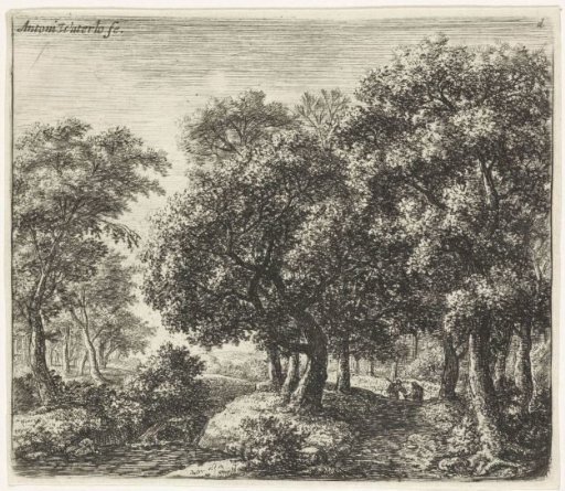 Two figures on a forest path