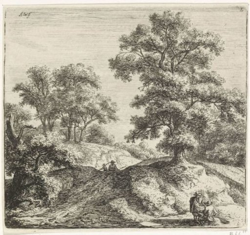 Large oak next to a path