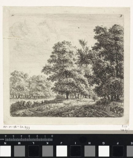 Two forest paths