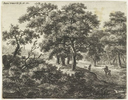 Several Walkers on a Forest Path