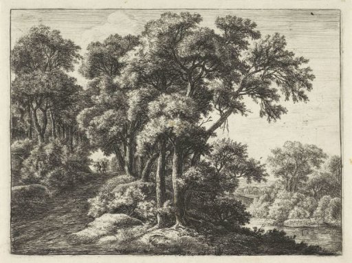 Country Road along a River