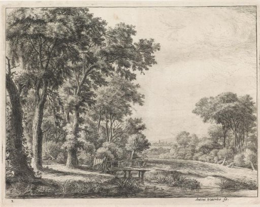 Forest edge with a wooden bridge