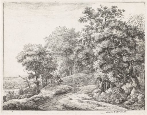 Two men on a forest path