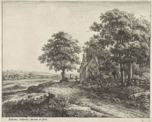 Large linden tree in front of an inn
