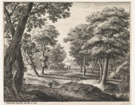 Forest path