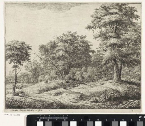 Sleeping shepherd